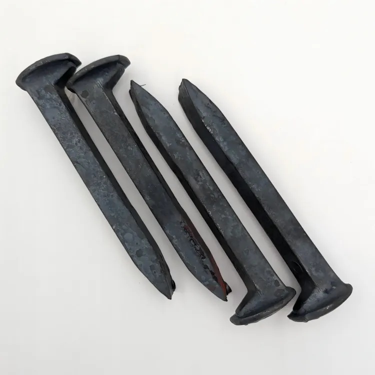 ریلوے کتا کتے کے ساتھ سوار کے ساتھ بڑھتا ہے