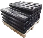 ریل جامع سونے والے